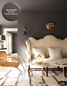 Benjamin Moore Silhoette Paint Dupe Match